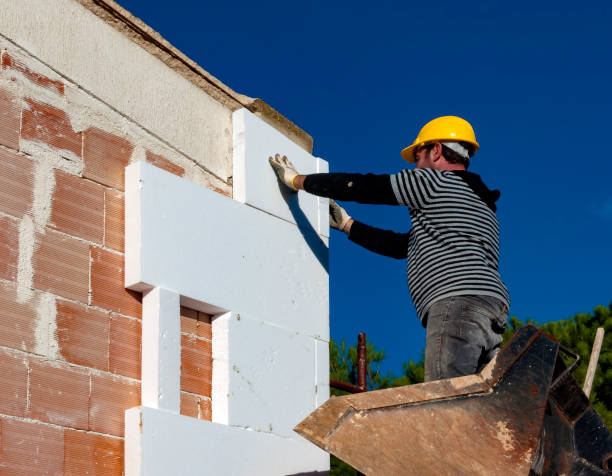 Best Residential Insulation in Maple Park, IL
