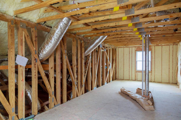 Best Eco-Friendly Insulation in Maple Park, IL