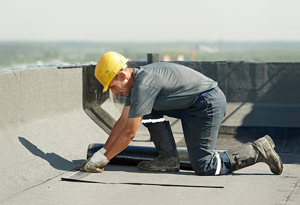 Best Geographic-Specific Insulation Services in Maple Park, IL