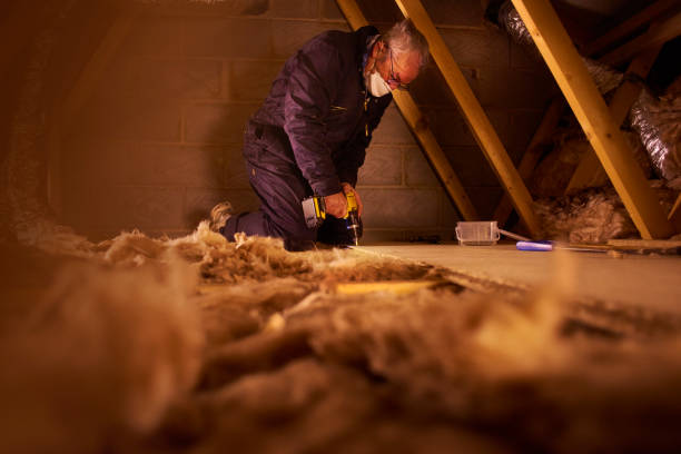 Best Eco-Friendly Insulation in Maple Park, IL